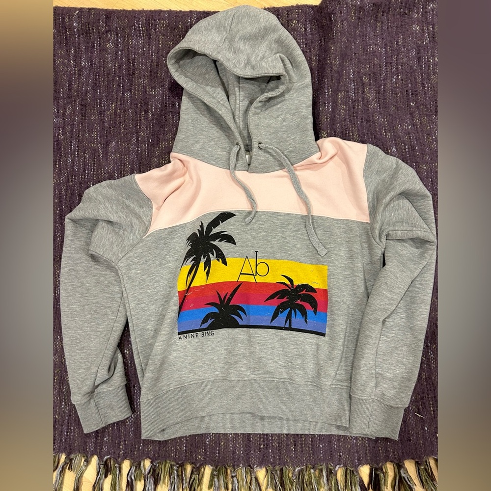 Super Cute, Vintage Anine Bing Hoodie!